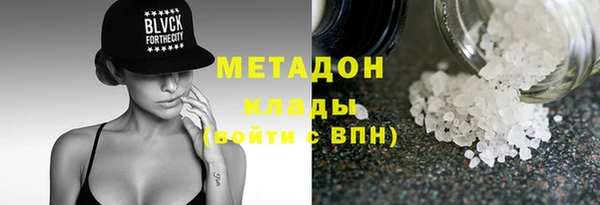 стаф Алексин