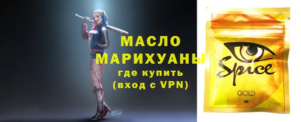 мдпв Осташков