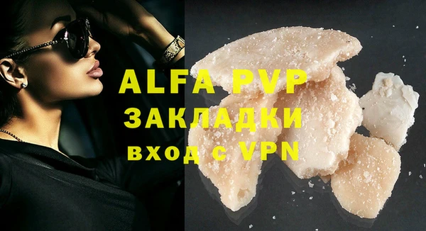 стаф Алексин