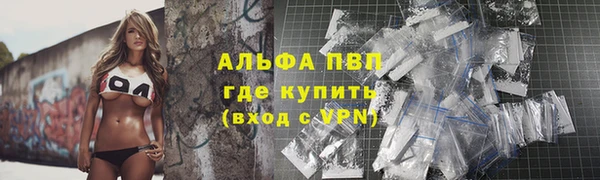 a pvp Аркадак